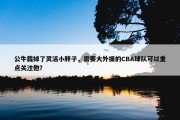 公牛裁掉了灵活小胖子，需要大外援的CBA球队可以重点关注他？