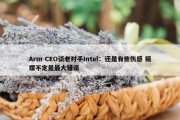 Arm CEO谈老对手Intel：还是有些伤感 摇摆不定是最大错误