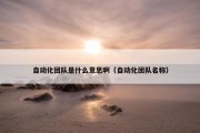 自动化团队是什么意思啊（自动化团队名称）