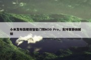 小米发布旗舰级智能门锁M30 Pro，支持掌静脉解锁