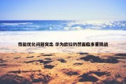 性能优化问题突出 华为欧拉仍然面临多重挑战