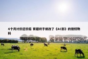 4个月讨价还价后 育碧终于修改了《AC影》的侵权物料