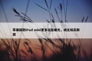 苹果新款iPad mini更多信息曝光，或无缘高刷屏