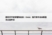 因对手干扰球错失绝杀！Stein：独行侠不会向联盟办公室申诉