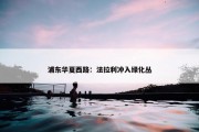 浦东华夏西路：法拉利冲入绿化丛