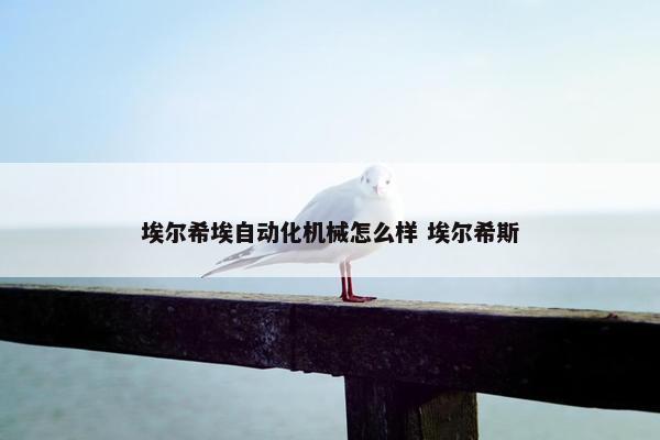 埃尔希埃自动化机械怎么样 埃尔希斯