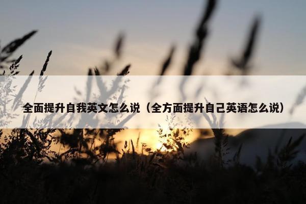 全面提升自我英文怎么说（全方面提升自己英语怎么说）