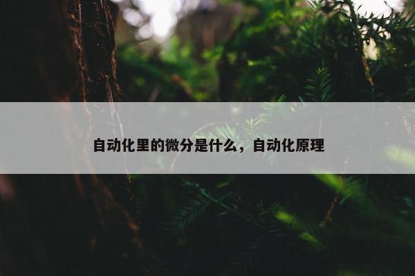 自动化里的微分是什么，自动化原理