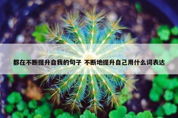 都在不断提升自我的句子 不断地提升自己用什么词表达