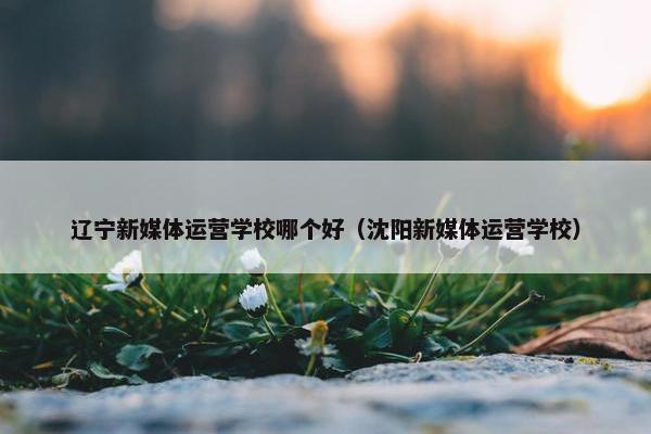 辽宁新媒体运营学校哪个好（沈阳新媒体运营学校）