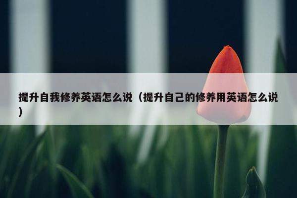 提升自我修养英语怎么说（提升自己的修养用英语怎么说）