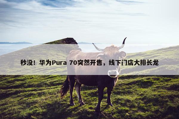 秒没！华为Pura 70突然开售，线下门店大排长龙