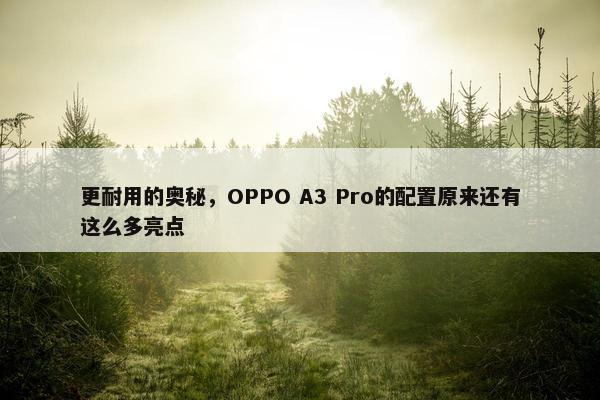 更耐用的奥秘，OPPO A3 Pro的配置原来还有这么多亮点