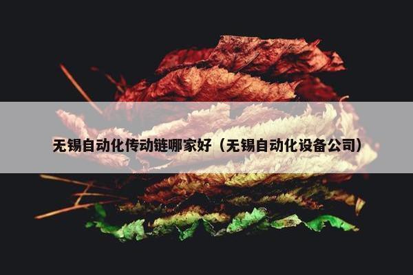 无锡自动化传动链哪家好（无锡自动化设备公司）