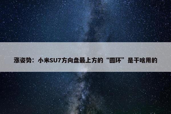 涨姿势：小米SU7方向盘最上方的“圆环”是干啥用的