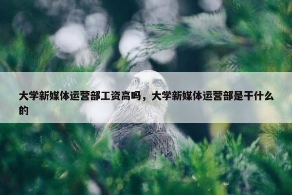 大学新媒体运营部工资高吗，大学新媒体运营部是干什么的