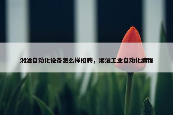 湘潭自动化设备怎么样招聘，湘潭工业自动化编程