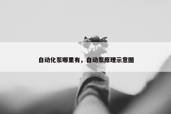 自动化泵哪里有，自动泵原理示意图