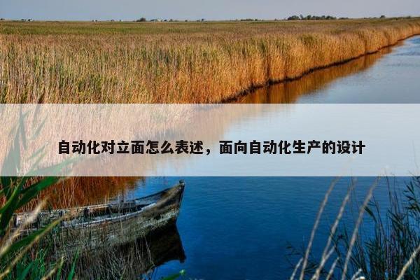 自动化对立面怎么表述，面向自动化生产的设计