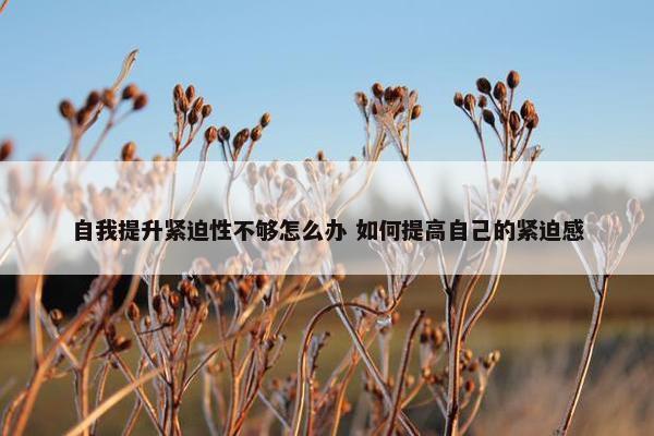 自我提升紧迫性不够怎么办 如何提高自己的紧迫感