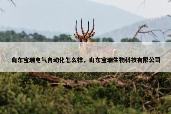 山东宝瑞电气自动化怎么样，山东宝瑞生物科技有限公司