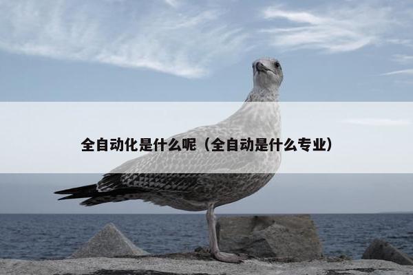 全自动化是什么呢（全自动是什么专业）