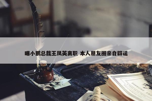 曝小鹏总裁王凤英离职 本人朋友圈亲自辟谣