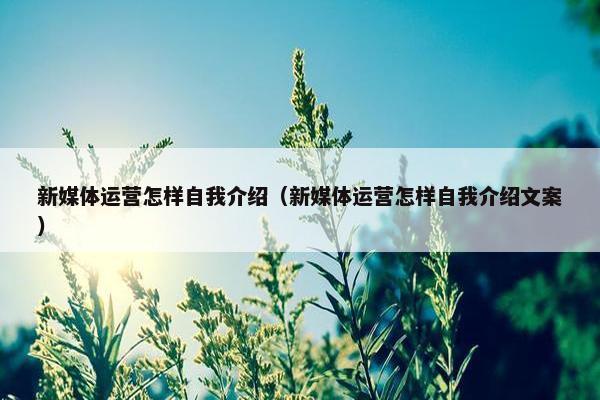 新媒体运营怎样自我介绍（新媒体运营怎样自我介绍文案）