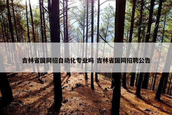 吉林省国网招自动化专业吗 吉林省国网招聘公告