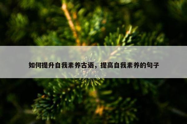 如何提升自我素养古语，提高自我素养的句子