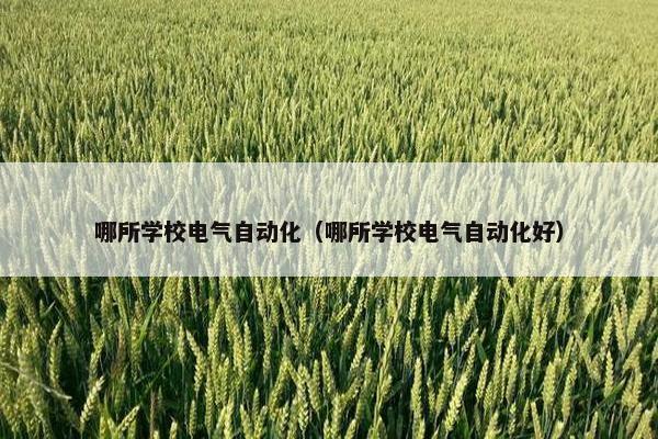 哪所学校电气自动化（哪所学校电气自动化好）