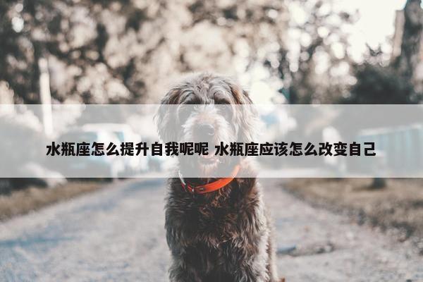 水瓶座怎么提升自我呢呢 水瓶座应该怎么改变自己