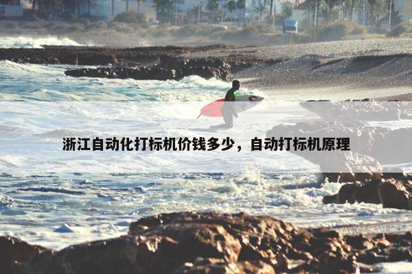 浙江自动化打标机价钱多少，自动打标机原理