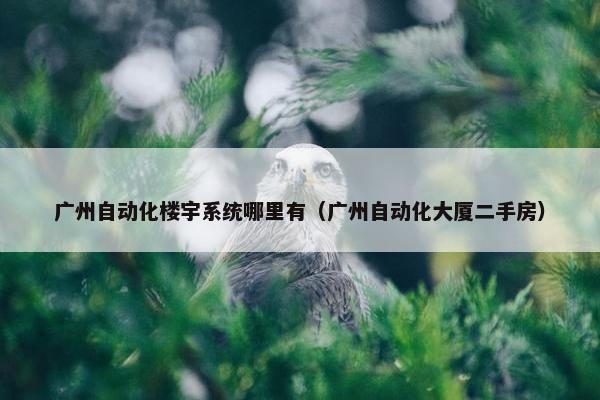 广州自动化楼宇系统哪里有（广州自动化大厦二手房）