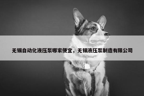 无锡自动化液压泵哪家便宜，无锡液压泵制造有限公司