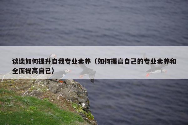 谈谈如何提升自我专业素养（如何提高自己的专业素养和全面提高自己）