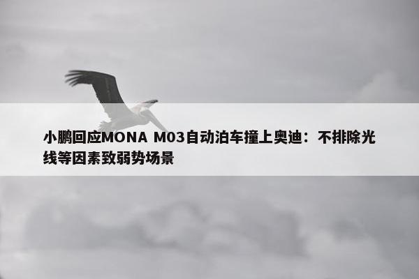 小鹏回应MONA M03自动泊车撞上奥迪：不排除光线等因素致弱势场景