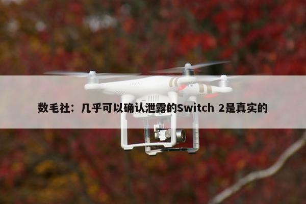 数毛社：几乎可以确认泄露的Switch 2是真实的