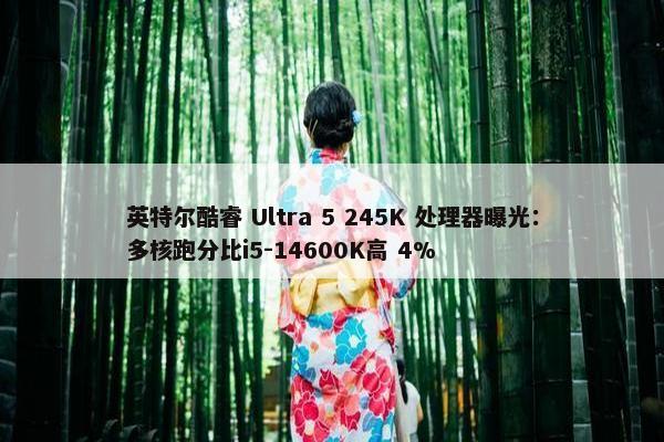 英特尔酷睿 Ultra 5 245K 处理器曝光：多核跑分比i5-14600K高 4%