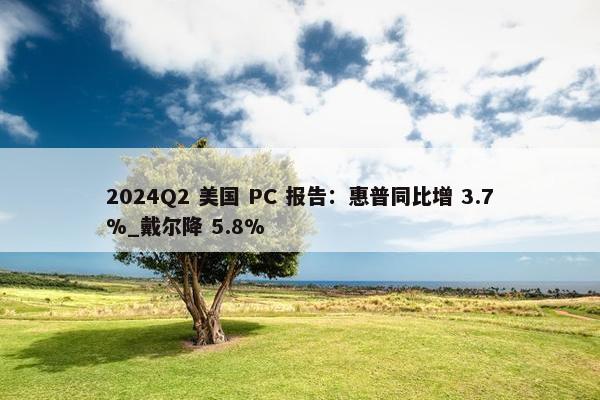 2024Q2 美国 PC 报告：惠普同比增 3.7%_戴尔降 5.8%