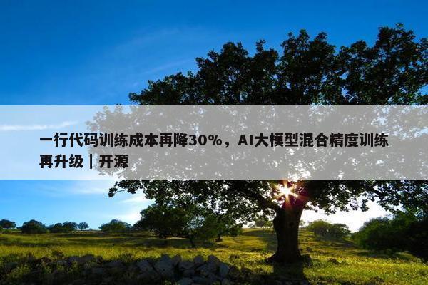 一行代码训练成本再降30%，AI大模型混合精度训练再升级｜开源