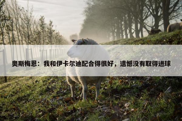 奥斯梅恩：我和伊卡尔迪配合得很好，遗憾没有取得进球