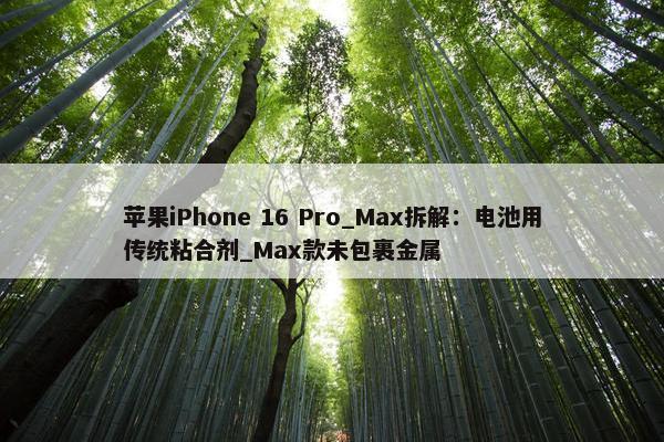 苹果iPhone 16 Pro_Max拆解：电池用传统粘合剂_Max款未包裹金属