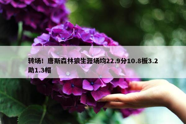 转场！唐斯森林狼生涯场均22.9分10.8板3.2助1.3帽