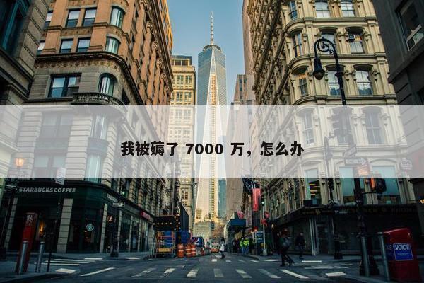 我被薅了 7000 万，怎么办