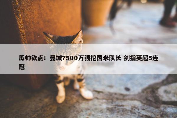 瓜帅钦点！曼城7500万强挖国米队长 剑指英超5连冠