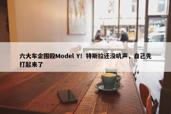 六大车企围殴Model Y！特斯拉还没吭声，自己先打起来了