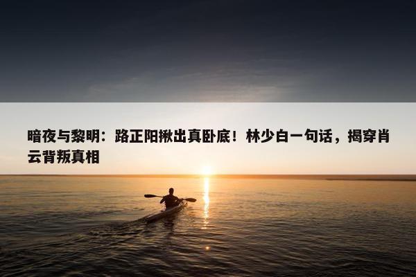 暗夜与黎明：路正阳揪出真卧底！林少白一句话，揭穿肖云背叛真相