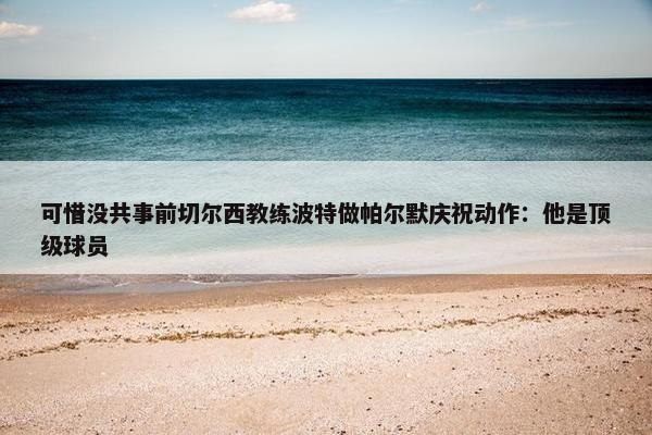 可惜没共事前切尔西教练波特做帕尔默庆祝动作：他是顶级球员