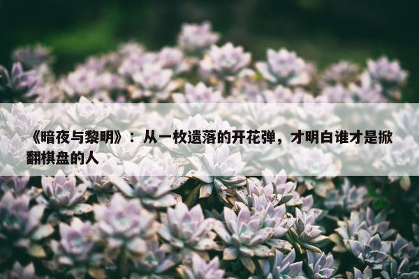 《暗夜与黎明》：从一枚遗落的开花弹，才明白谁才是掀翻棋盘的人